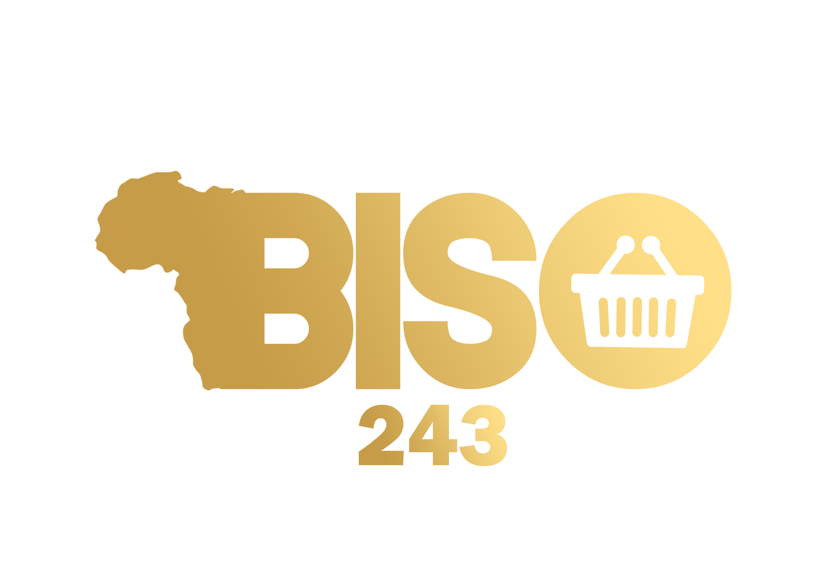 Biso243